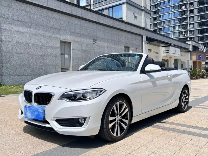 BMW 2 Series (Import), 2016 — фото 1