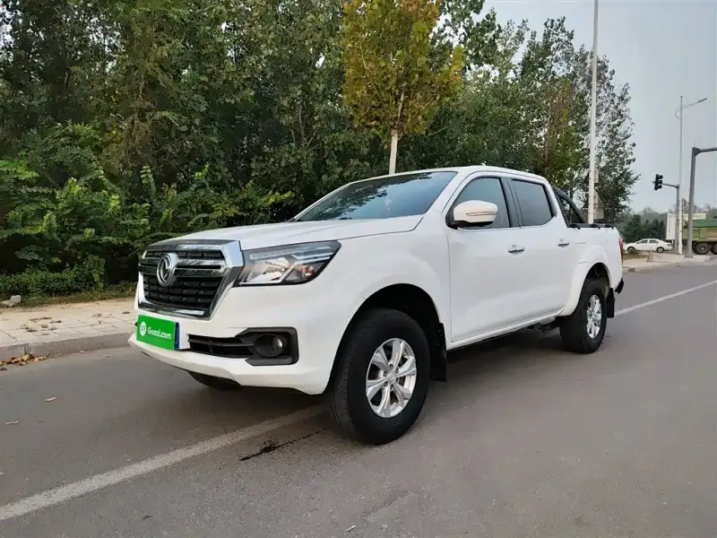 Dongfeng Rich 6, 2020