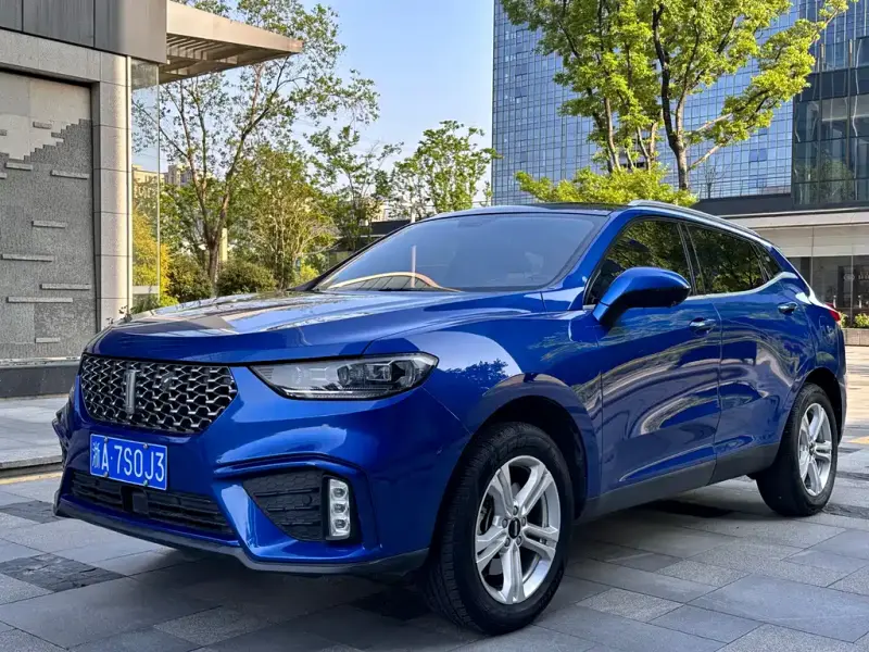 Wey VV5, 2019