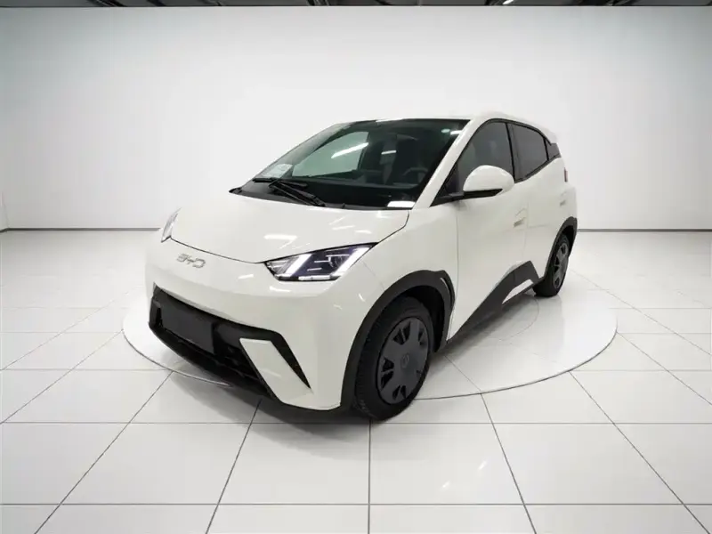BYD Seagull, 2025