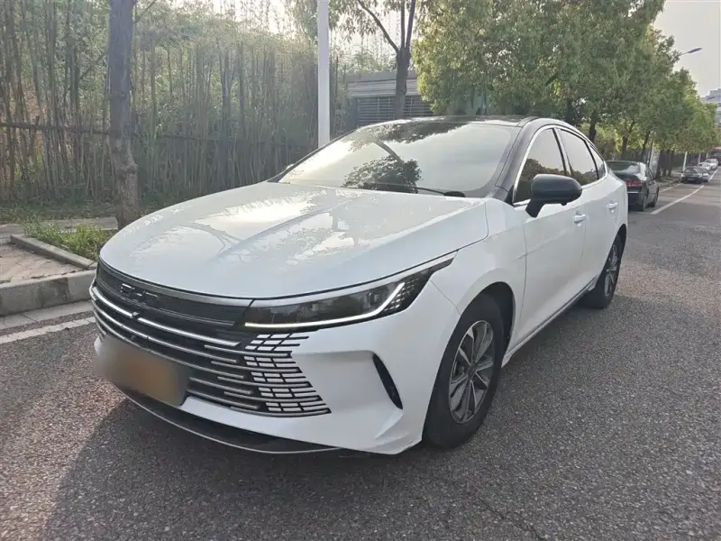 BYD Destroyer 05, 2024