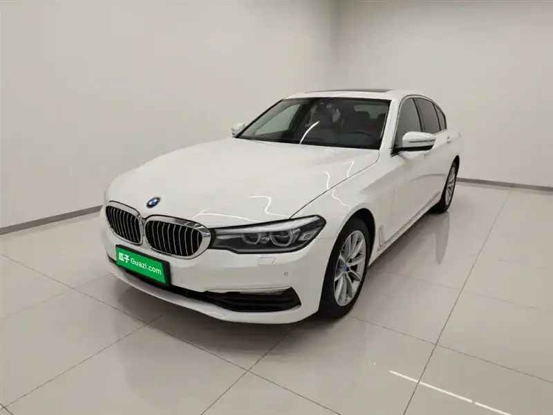 BMW 5 Series, 2017 — фото 1