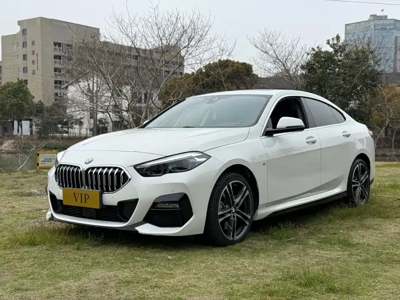 BMW 2 Series (Import), 2024 — фото 1