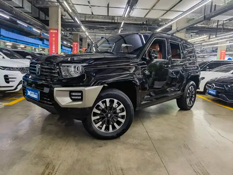 Tank 700 New Energy, 2025