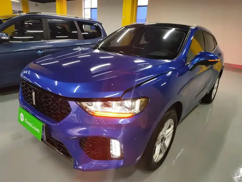 Wey VV5, 2019