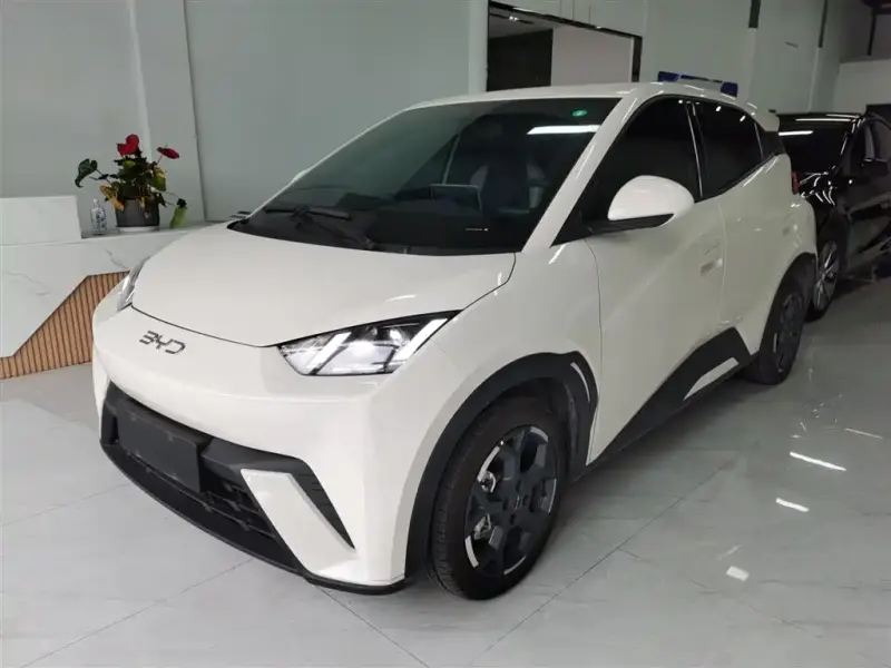 BYD Seagull, 2025