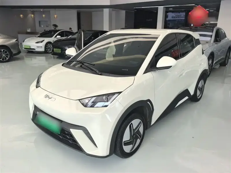 BYD Seagull, 2025