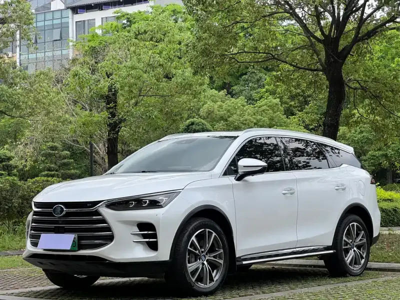 BYD Tang New Energy, 2019