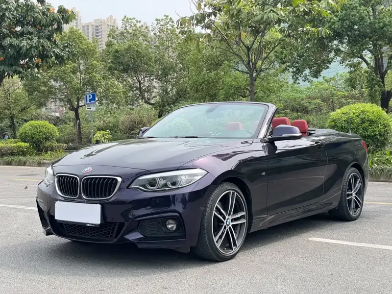 BMW 2 Series (Import), 2019 — фото 1