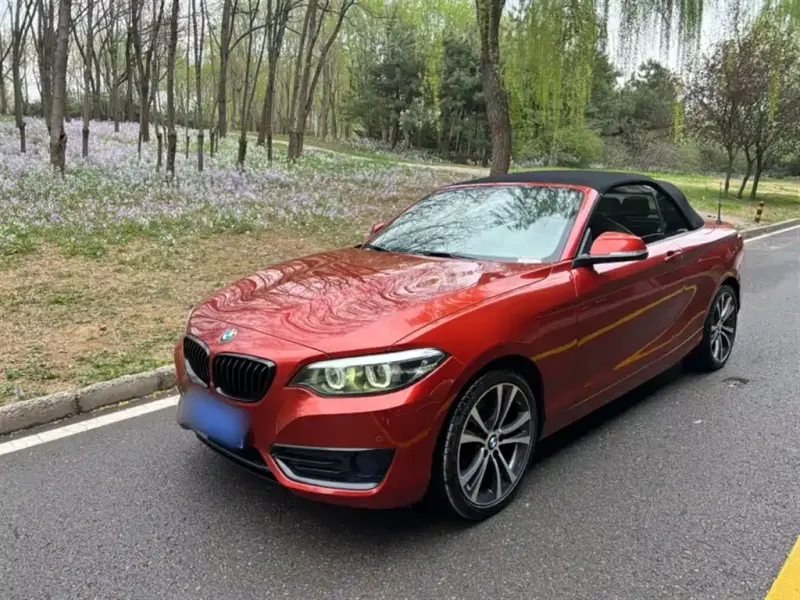 BMW 2 Series (Import), 2021 — фото 1
