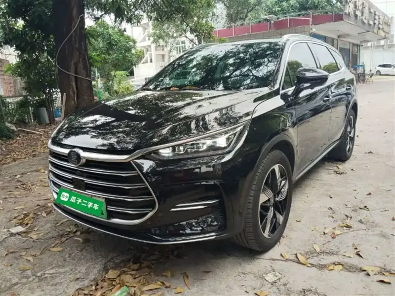 BYD Tang New Energy, 2024