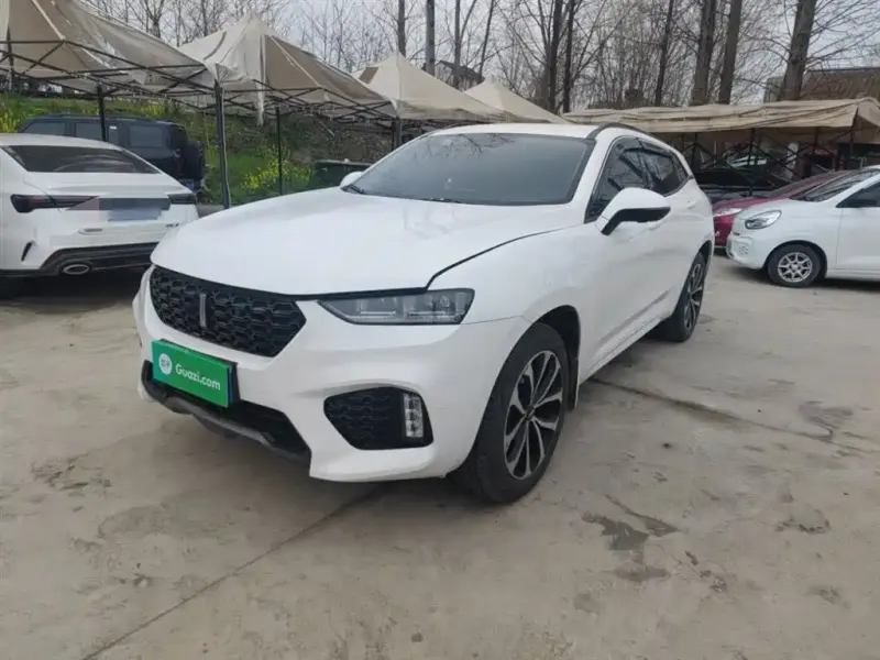Wey VV7, 2018