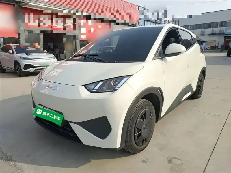 BYD Seagull, 2025
