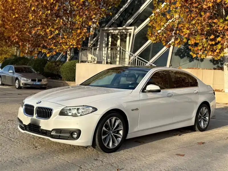 BMW 5 Series, 2016 — фото 1