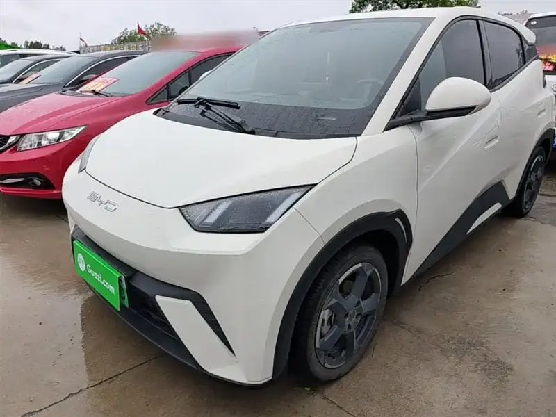 BYD Seagull, 2023