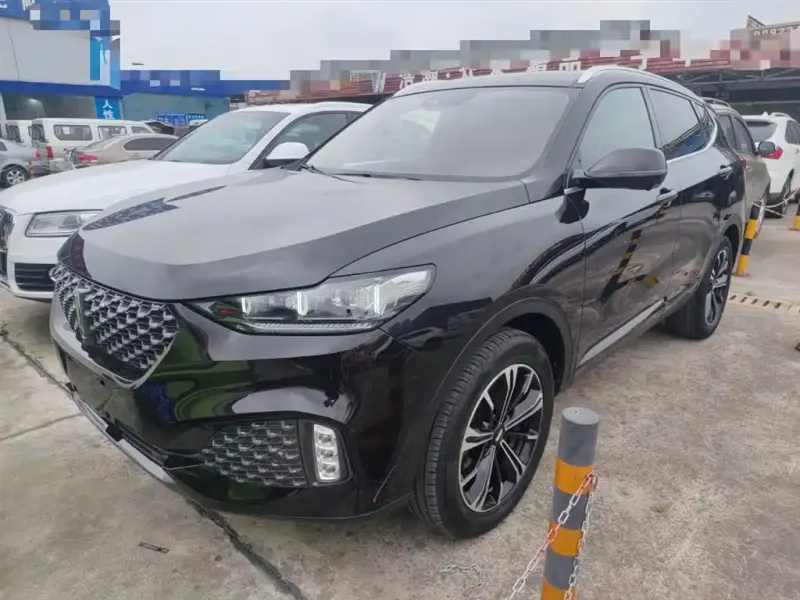 Wey VV6, 2020