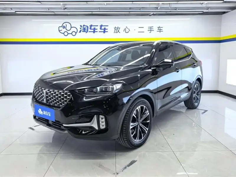Wey VV6, 2021