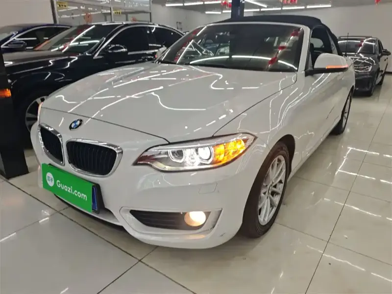 BMW 2 Series (Import), 2016 — фото 1
