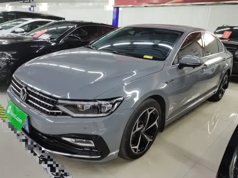 Volkswagen Magotan, 2024