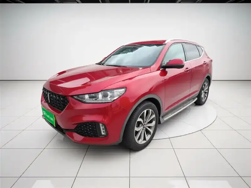 Wey VV6, 2019