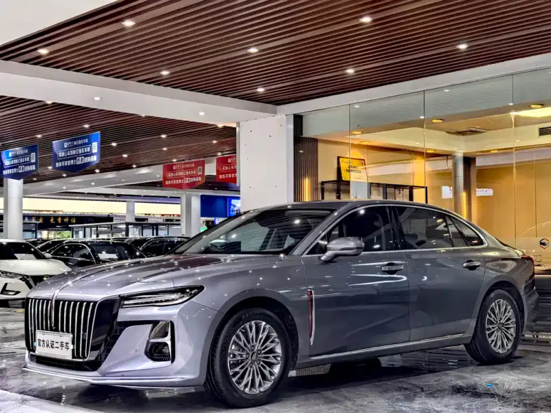 Hongqi H5, 2024
