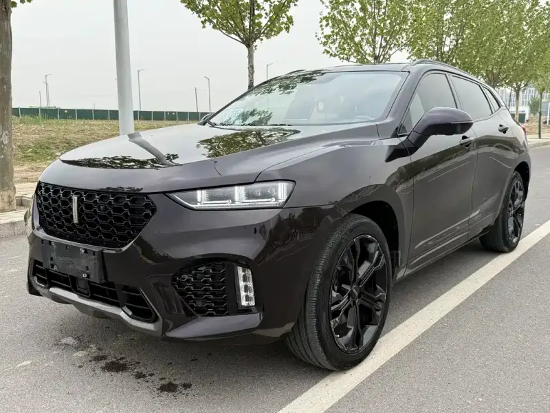 Wey VV7, 2019