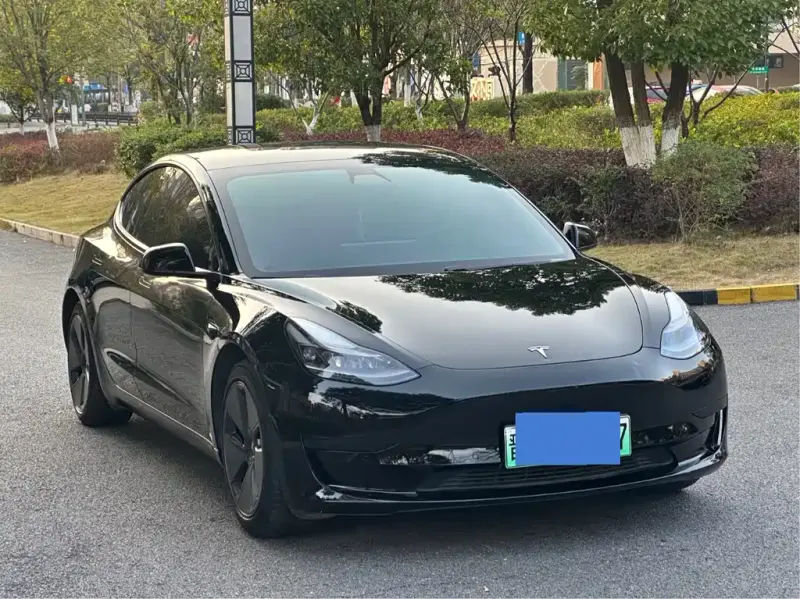 Tesla Model 3, 2021