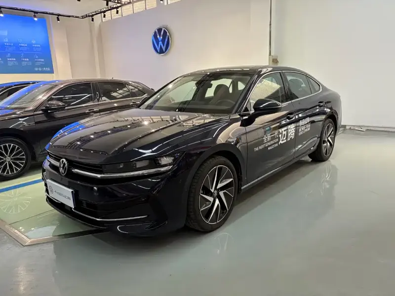 Volkswagen Magotan, 2024