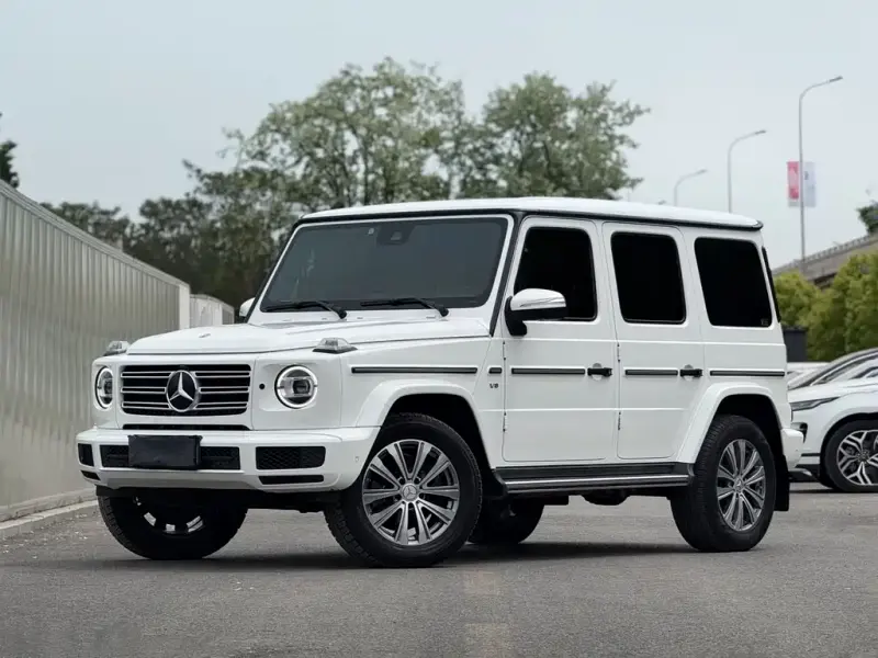 Mercedes-Benz G-Class, 2019 — фото 1