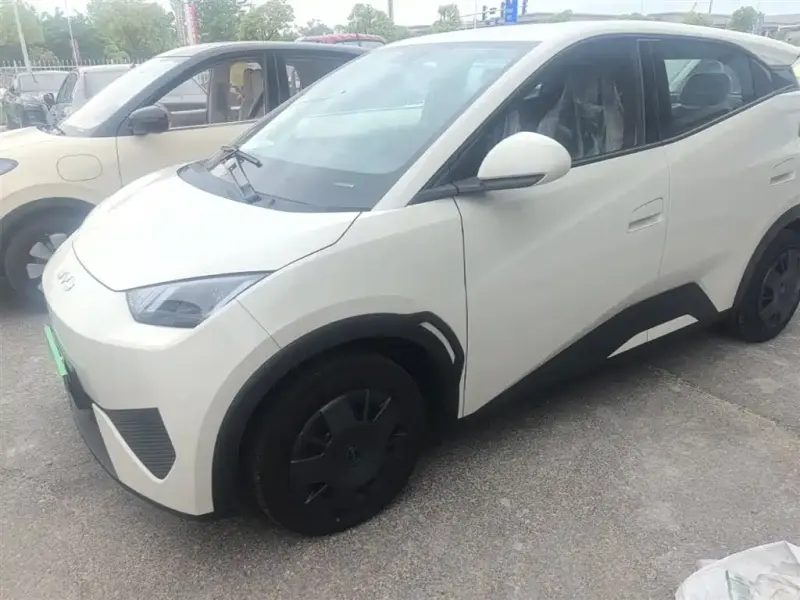 BYD Seagull, 2026