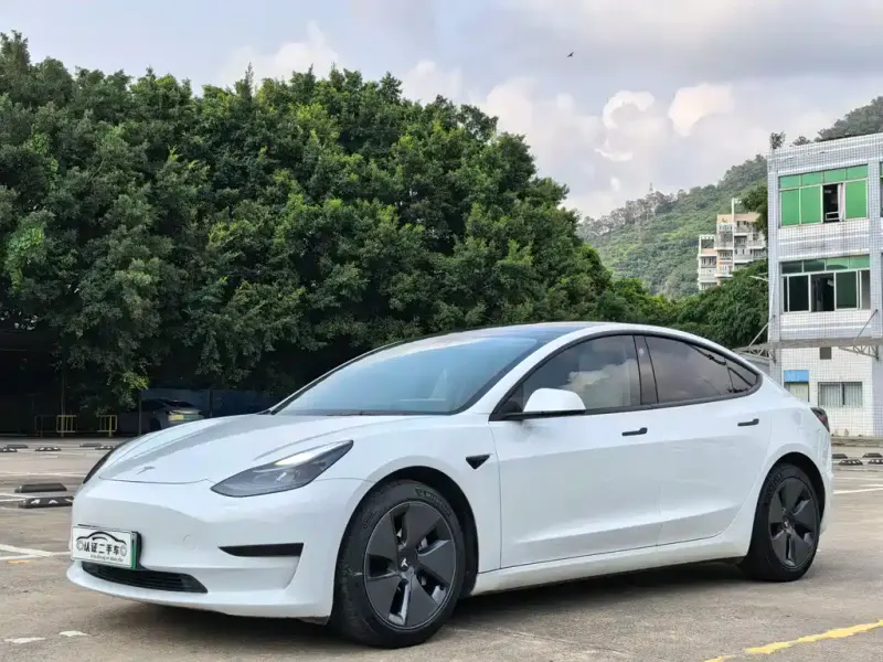 Tesla Model 3, 2021
