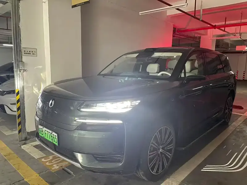 Denza N9, 2025