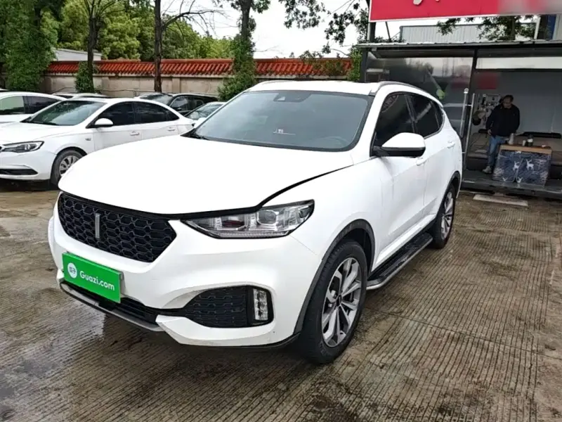 Wey VV6, 2019