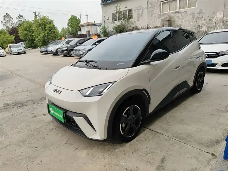 BYD Seagull, 2024