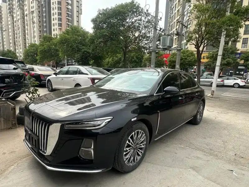 Hongqi H5, 2024