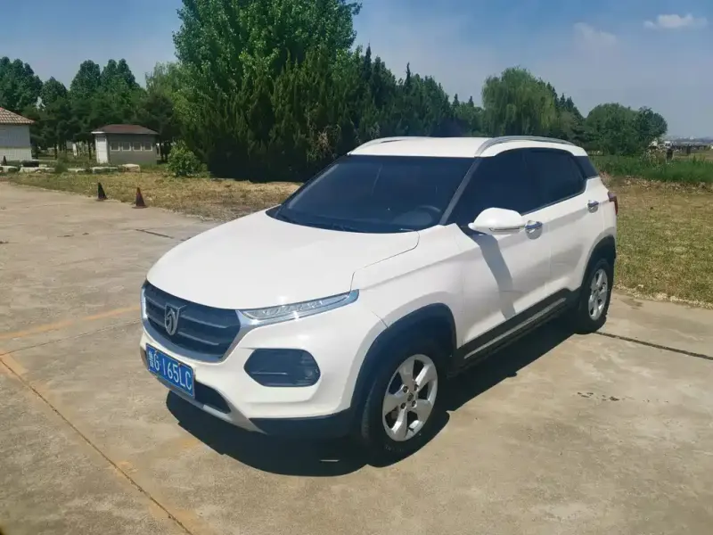 Baojun 510, 2019