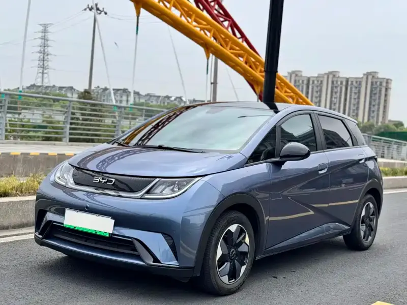 BYD Dolphin, 2024