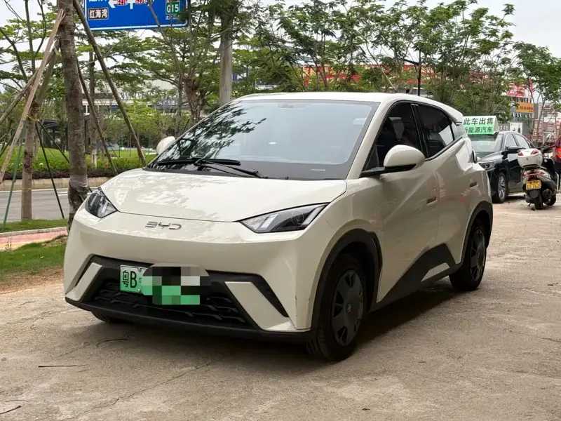 BYD Seagull, 2024