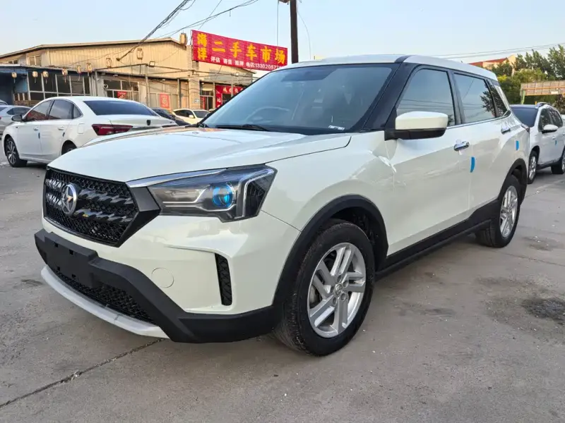 Venucia T60, 2021