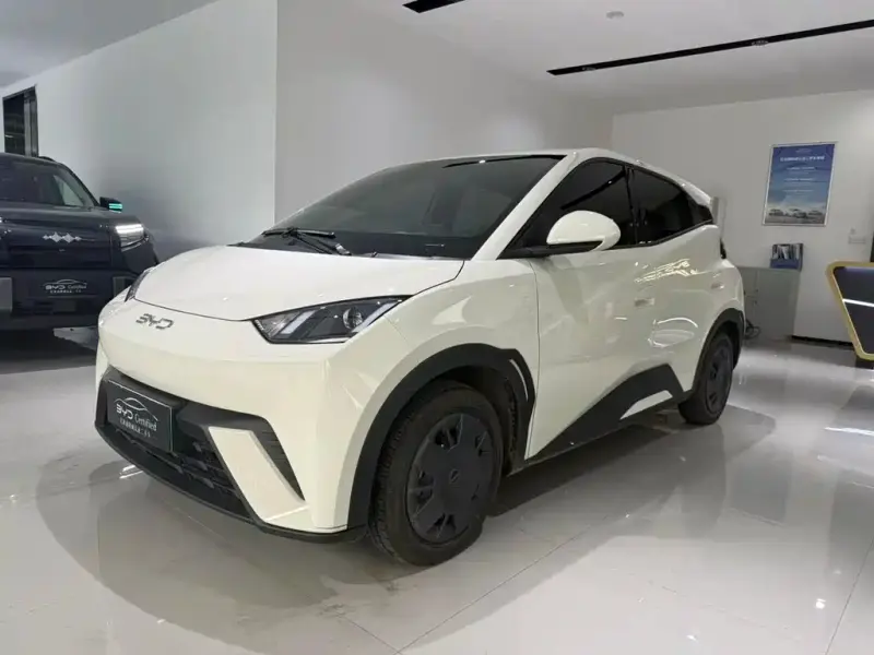 BYD Seagull, 2025