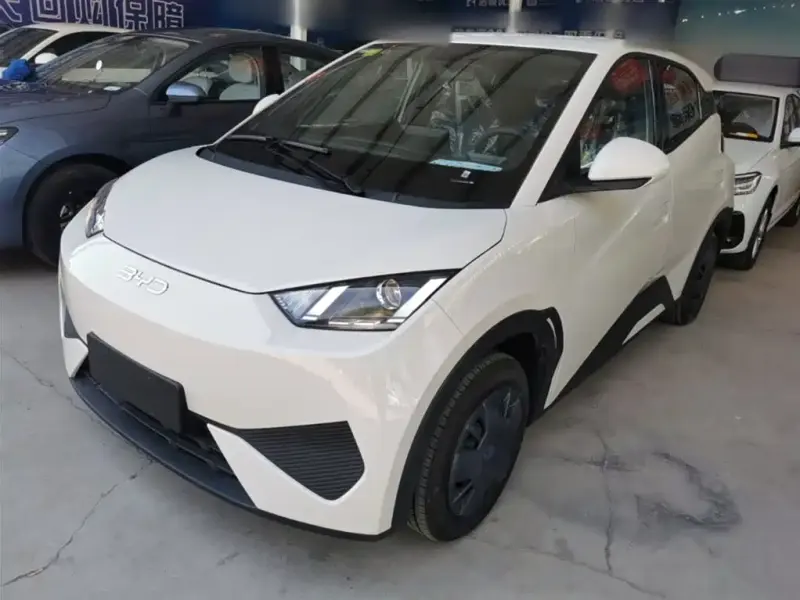 BYD Seagull, 2026