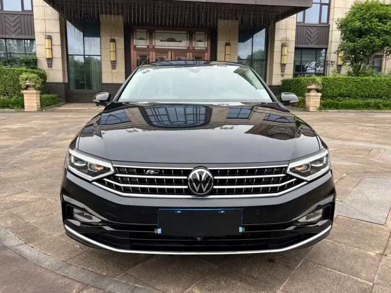 Volkswagen Magotan, 2024
