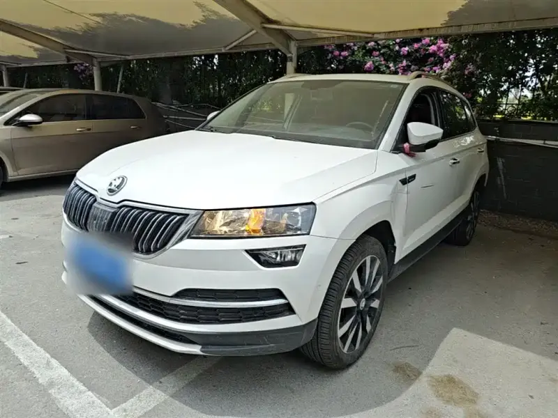 Skoda Karoq, 2020 — фото 1