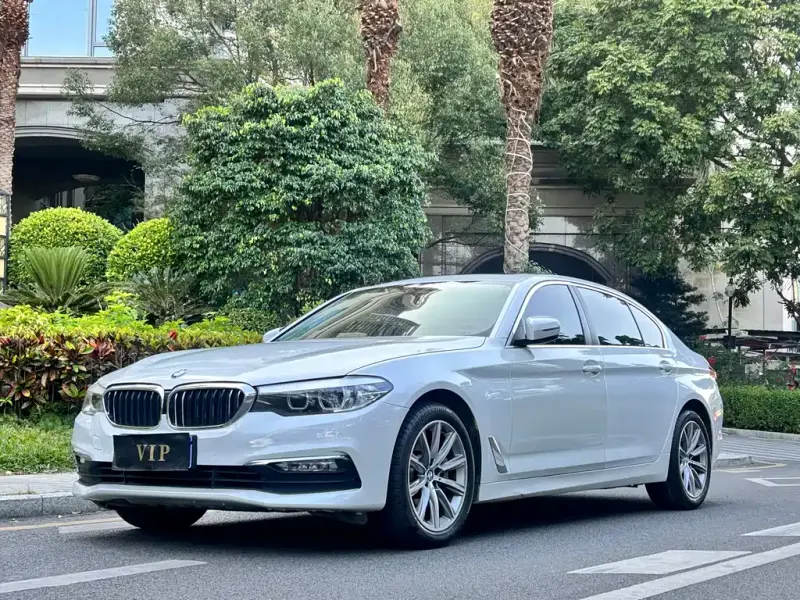 BMW 5 Series, 2017 — фото 1