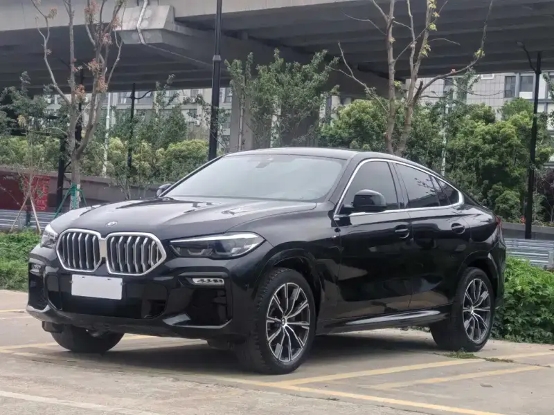 BMW X6, 2021
