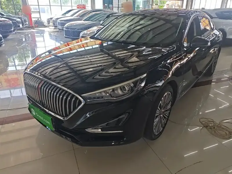 Hongqi H5, 2021