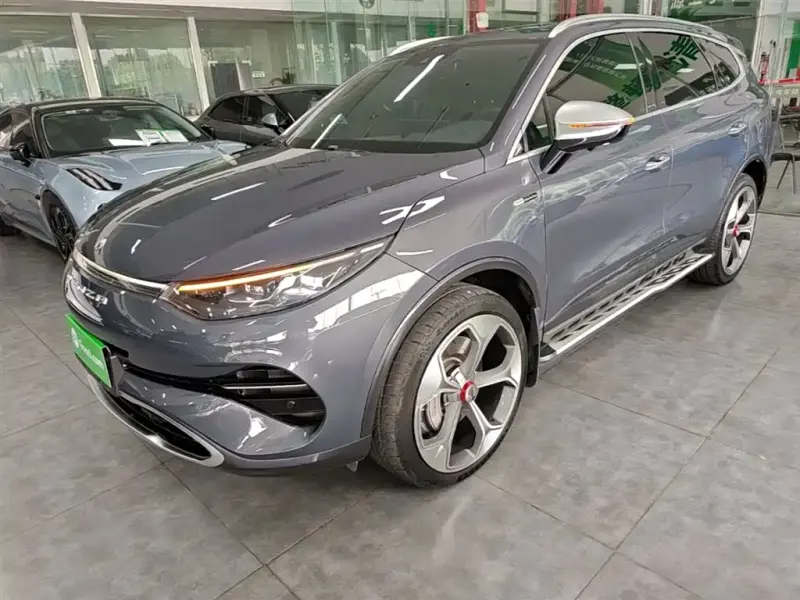 Denza X, 2021