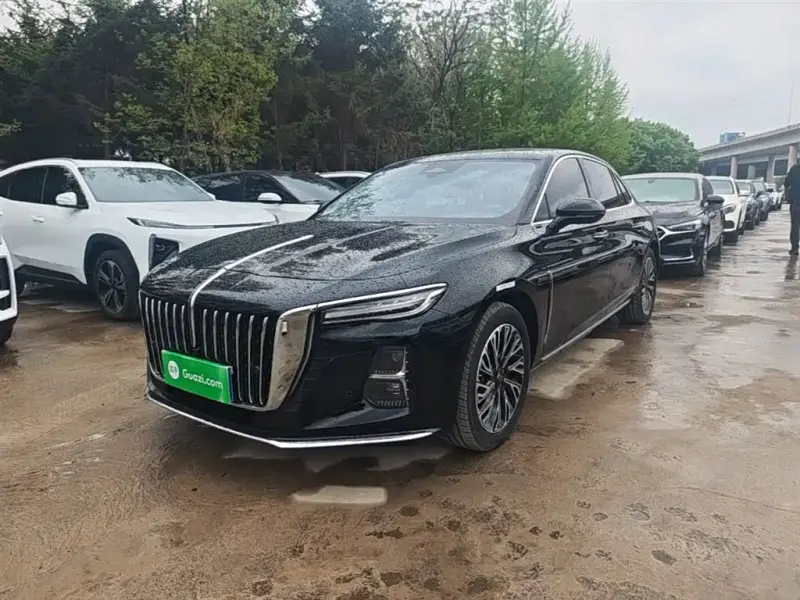 Hongqi H5, 2024