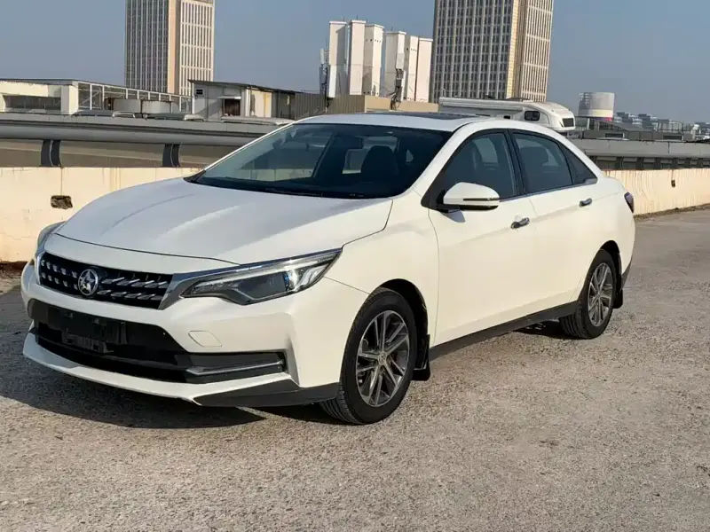 Venucia D60, 2019
