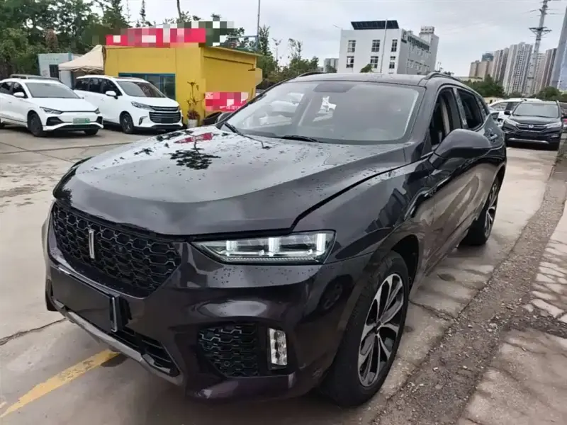 Wey VV7, 2018